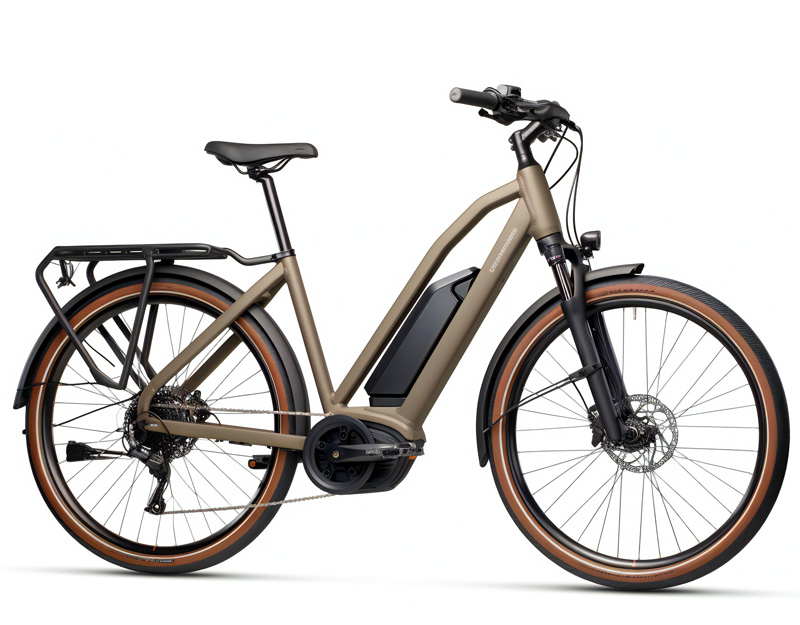 e-Bike 4 - Mindful Medicinal Sarasota CBD
